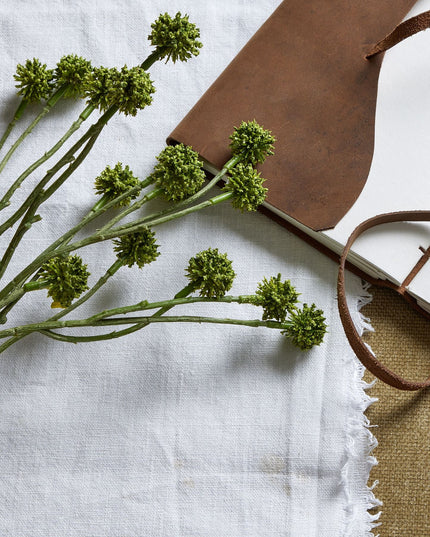 Green Craspedia Stem