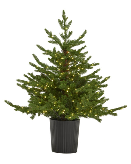 Green Forest Fir Pre-Lit Led 300L Christmas Tree In Pot