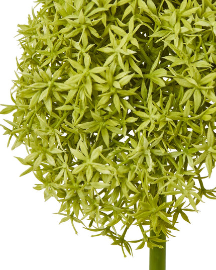 Green Giant Allium Stem