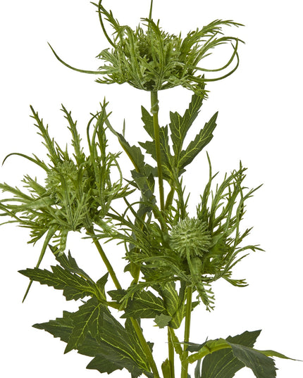 Green Sea Holly Spray