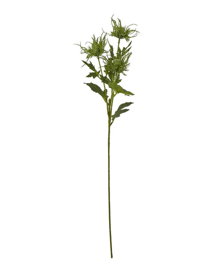 Green Sea Holly Spray