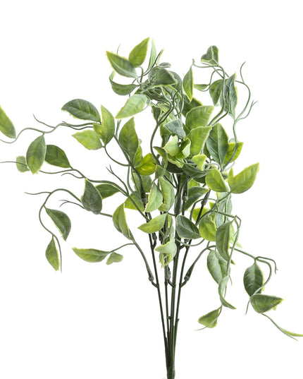 Green Shoots Greenery Bunch