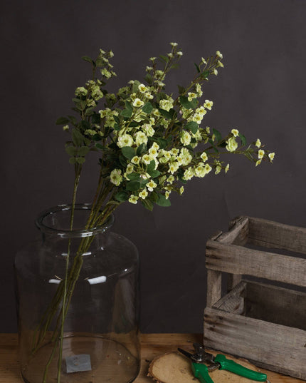 Green Wild Meadow Rose