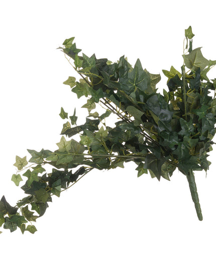 Ivy Pick