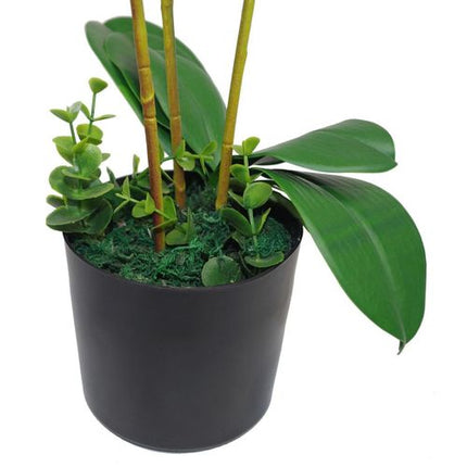https://images.avasam.com/?w=500&url=https://avasamnew.s3.amazonaws.com/live/GB010188/S0671265679_15.webp