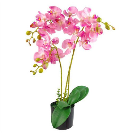 https://images.avasam.com/?w=500&url=https://avasamnew.s3.amazonaws.com/live/GB010188/S0671265679_14.webp