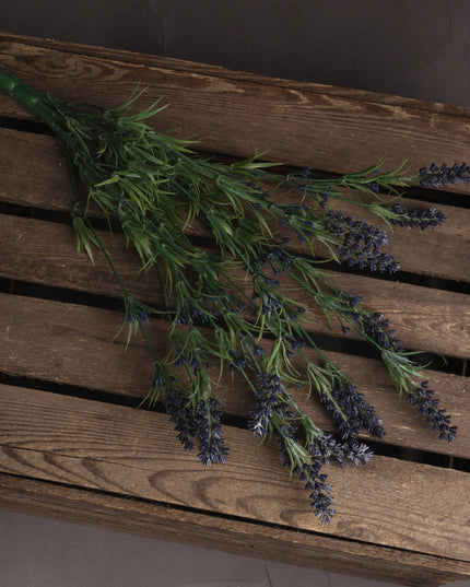 Large Lavender Bush