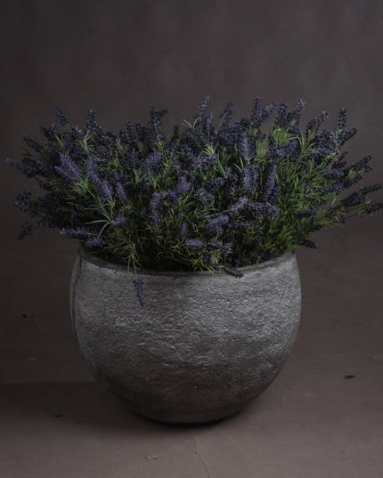 Large Lavender Bush