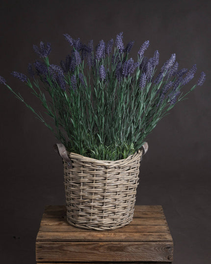 Large Lavender Spray