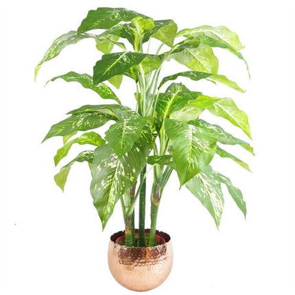https://images.avasam.com/?w=500&url=https://avasamnew.s3.amazonaws.com/live/GB010188/S0671497835_16.webp