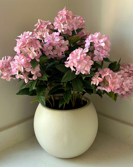 Large Pink Hydrangea Plant In Pot