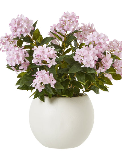 Large Pink Hydrangea Plant In Pot