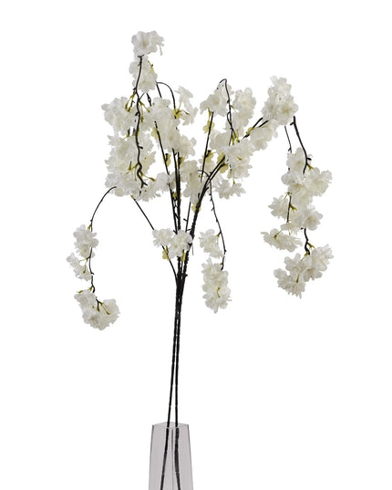 Large White Cherry Blossom Stem