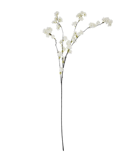 Large White Cherry Blossom Stem