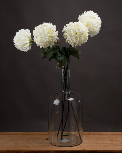 Large White Chrysanthemum