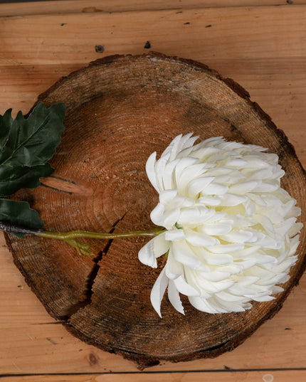 Large White Chrysanthemum