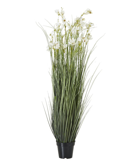 Large White Meadow Plant In Pot