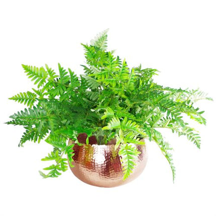 https://images.avasam.com/?w=500&url=https://avasamnew.s3.amazonaws.com/live/GB010188/S0671265606_13.jpg