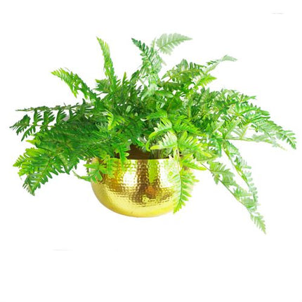 https://images.avasam.com/?w=500&url=https://avasamnew.s3.amazonaws.com/live/GB010188/S0671265771_12.jpg