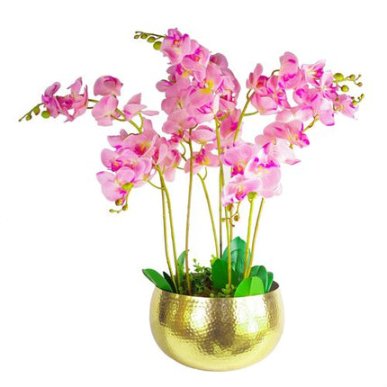 https://images.avasam.com/?w=500&url=https://avasamnew.s3.amazonaws.com/live/GB010188/S0671265771_13.jpg