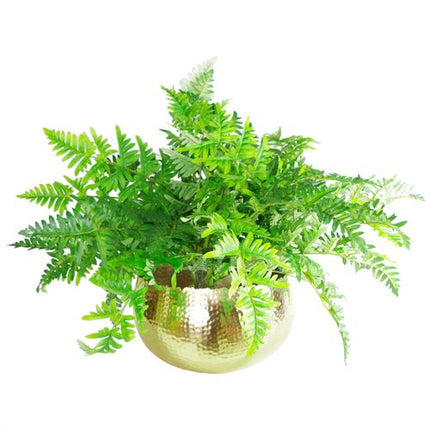 https://images.avasam.com/?w=500&url=https://avasamnew.s3.amazonaws.com/live/GB010188/S0671265718_12.jpg