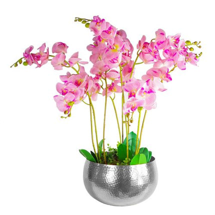 https://images.avasam.com/?w=500&url=https://avasamnew.s3.amazonaws.com/live/GB010188/S0671265518_13.jpg