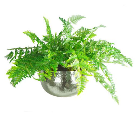 https://images.avasam.com/?w=500&url=https://avasamnew.s3.amazonaws.com/live/GB010188/S0671265518_12.jpg