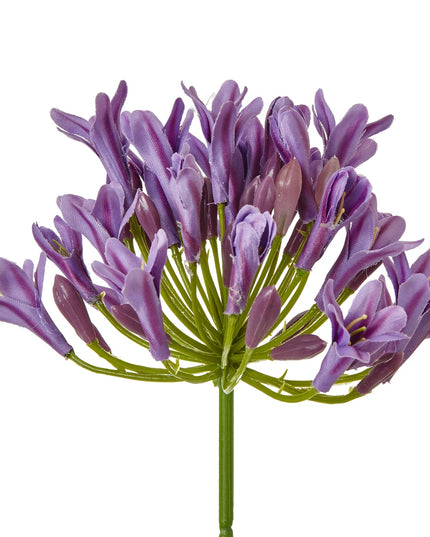 Lilac Agapanthus Spray