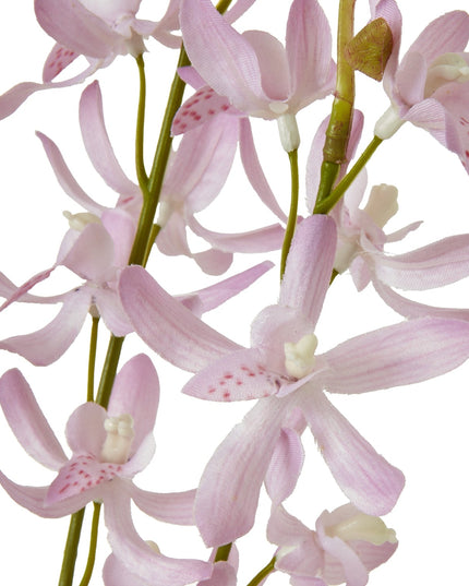 Lilac Cymbidium Spray