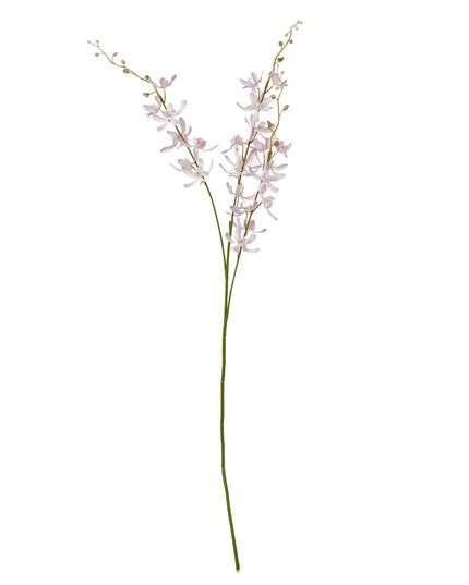 Lilac Cymbidium Spray