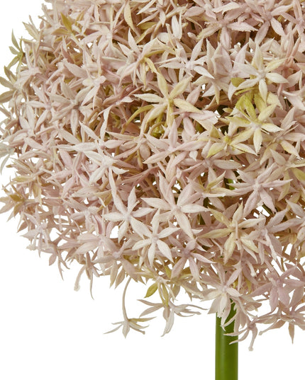 Lilac Giant Allium Stem