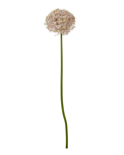 Lilac Giant Allium Stem