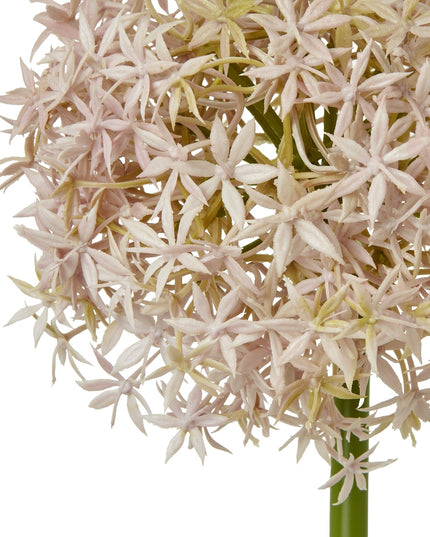 Lilac Medium Allium Stem
