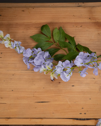 Lilac Wisteria