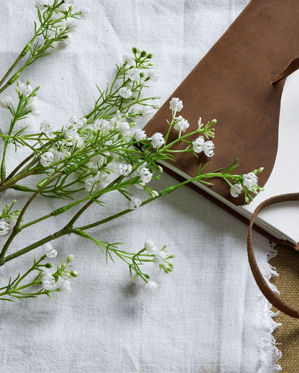 Lily Of The Valley