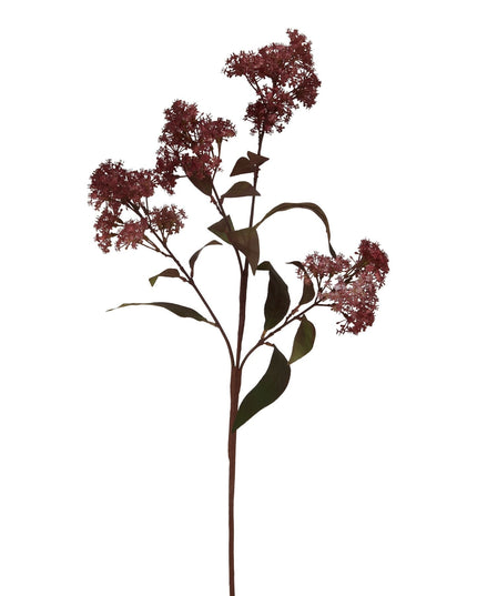 Medium Burgundy Smokebush Stem