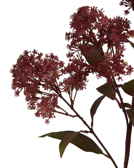 Medium Burgundy Smokebush Stem