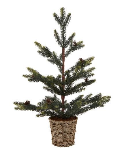 Medium Spruce Tree With Wicker Basket