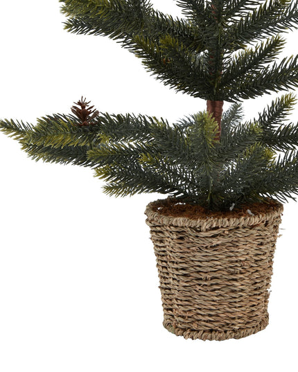 Medium Spruce Tree With Wicker Basket