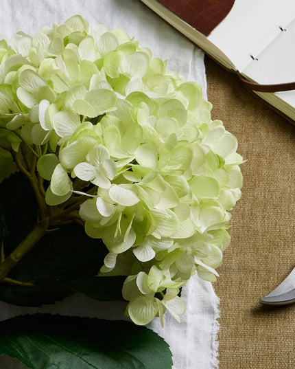 Oversized Green Hydrangea