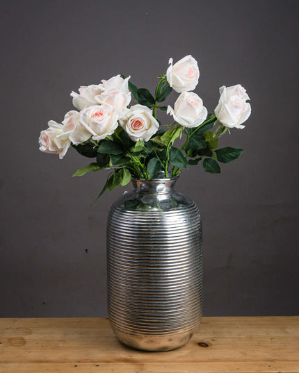 Palest Pink Tea Rose