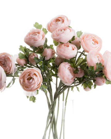 Pastel Pink Ranunculus