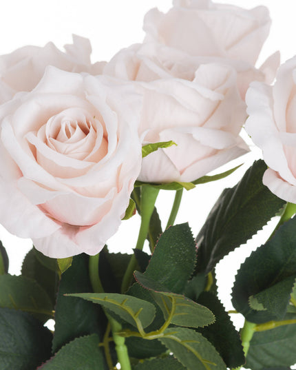 Pastel Pink Tea Rose