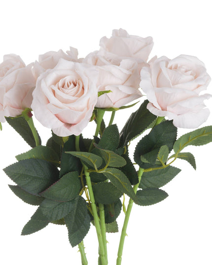 Pastel Pink Tea Rose
