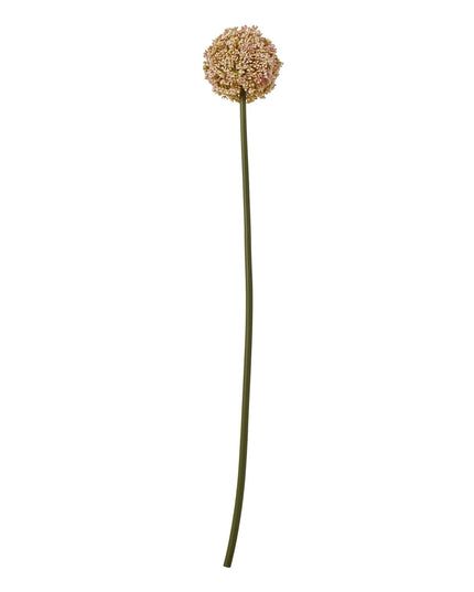 Pink Allium Stem