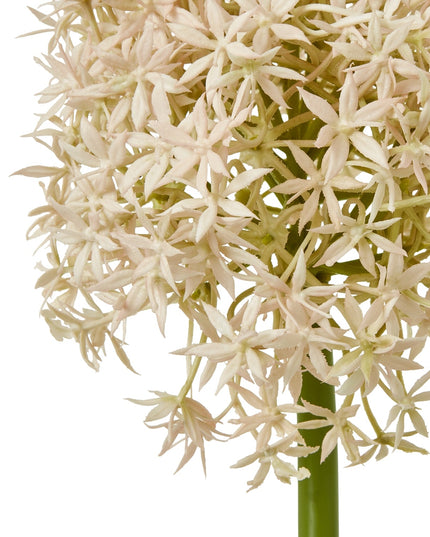 Pink Medium Allium Stem