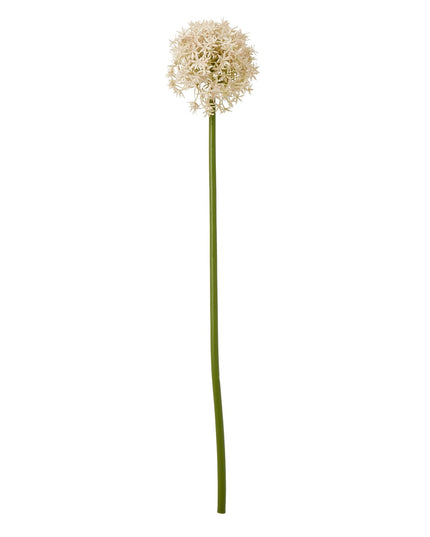 Pink Medium Allium Stem