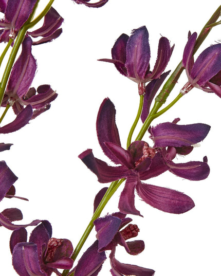 Purple Cymbidium Spray