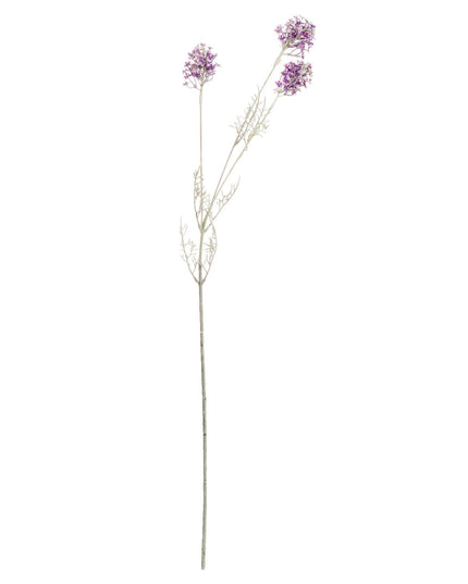Purple Meadow Flower
