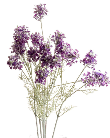 Purple Meadow Flower
